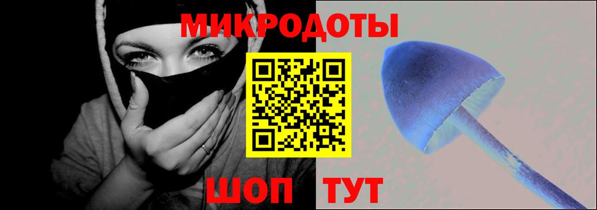 Углич  наркошоп  Вход с VPN  Галлюциногенные грибы Cubensis 